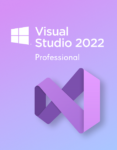 Visual Studio Professional 2022