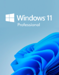 Windows 11 Pro